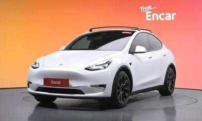 Tesla Model Y · 2021 год