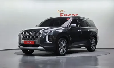 Hyundai Palisade · 2019 год