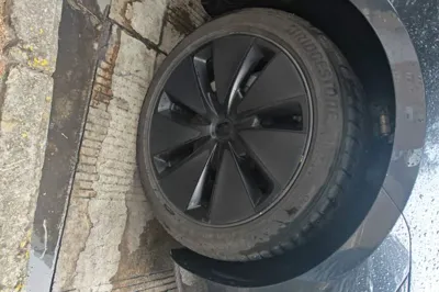 Tesla Model 3 2025, 67400 км, за 207090.03 CNY - фото 8