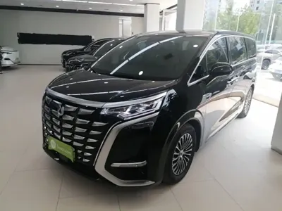 Denza Denza D9 · 2024 год