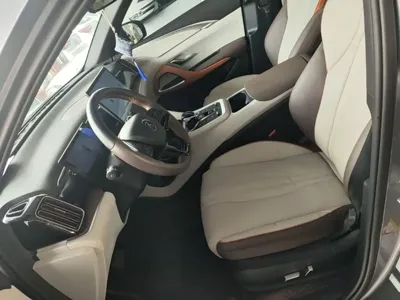 BYD Pro New Energy 2022, 85399 км, за 59400 CNY - фото 15