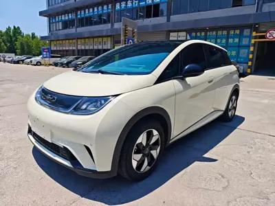 BYD Dolphin · 2024 год