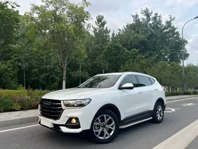 Haval H6 · 2022 год