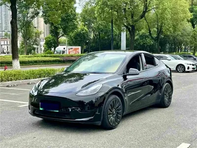 Tesla Model Y · 2022 год