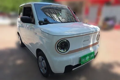 Geely Galaxy Panda 2024, 5900 км, за 42874.79 CNY