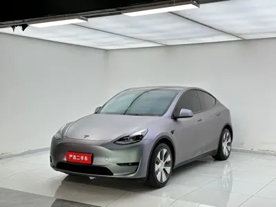 Tesla Model Y · 2023 год