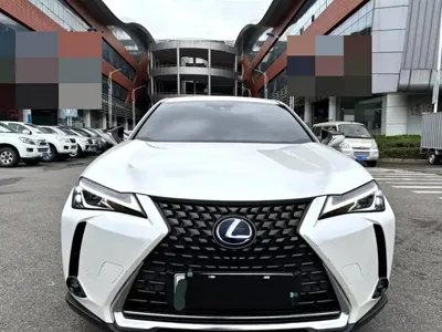 Lexus UX New Energy 2023, 60100 км, за 104100 CNY