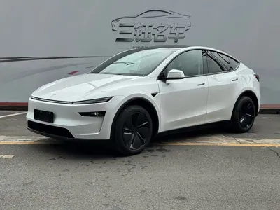 Tesla Model Y · 2025 год