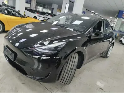 Tesla Model Y · 2023 год