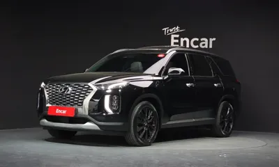Hyundai Palisade · 2019 год