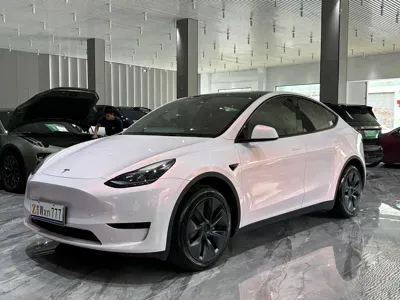 Tesla Model Y · 2023 год