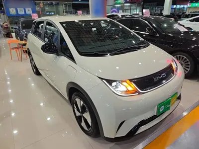 BYD Dolphin 2023, 30200 км, за 59200 CNY