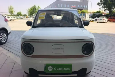 Geely Galaxy Panda 2024, 100 км, за 52657.07 CNY