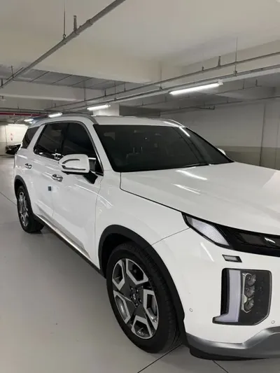Hyundai Palisade · 2024 год