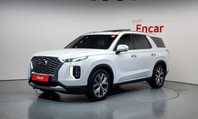 Hyundai Palisade · 2020 год