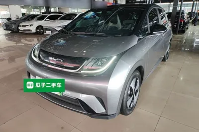 BYD Dolphin · 2023 год