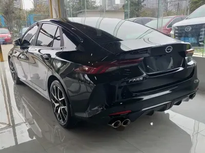 GAC Motor Shadow Leopard 2021, 35000 км, за 37800 CNY - фото 9