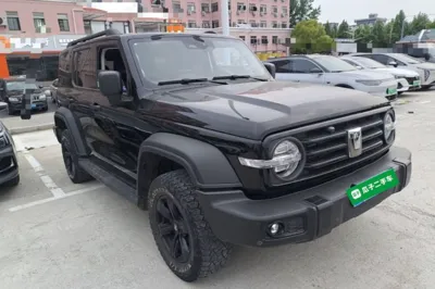 Tank 300 2024, 62100 км, за 162349.1 CNY
