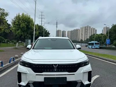 Voyah Free 2023, 47500 км, за 115000 CNY