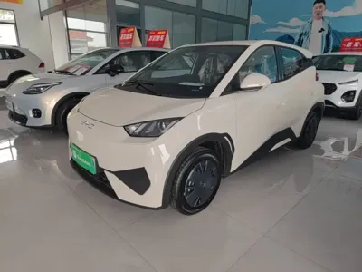 BYD Seagull · 2026 год