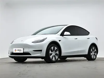 Tesla Model Y · 2021 год