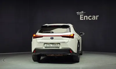Lexus UX 2019, 87376 км, за 29990000 KRW