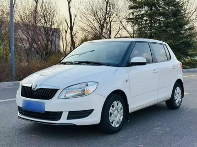 Skoda Fabia · 2014 год