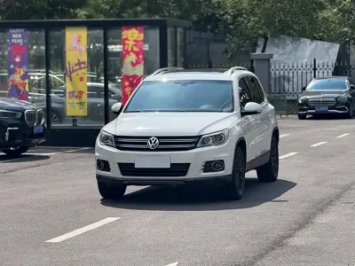 Volkswagen Tiguan · 2013 год