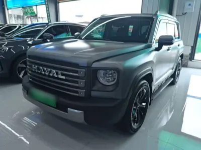 Haval Menglong New Energy · 2025 год