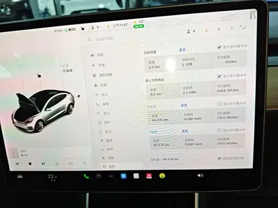 Tesla Model 3 2020, 60500 км, за 97300 CNY - фото 12