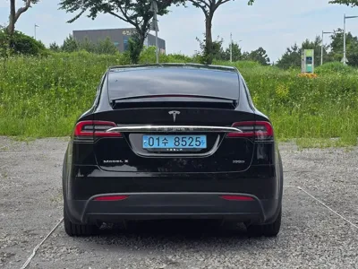 Tesla Model X · 2019 год