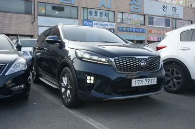Kia Sorento 2018, 95974 км, за 20400000 KRW