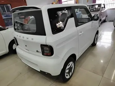 Galaxy Panda 2026, 100 км, за 39900 CNY - фото 7
