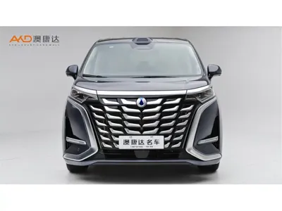Denza Denza D9 2025, 9000 км, за 310000 CNY