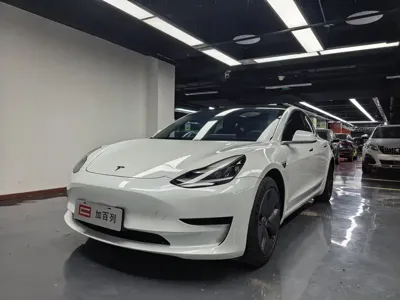 Tesla Model 3 · 2021 год