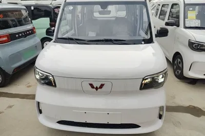 Wuling Zhiguang New Energy 2025, 100 км, за 62031.47 CNY