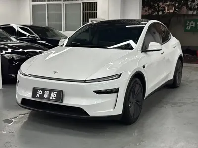 Tesla Model Y · 2025 год