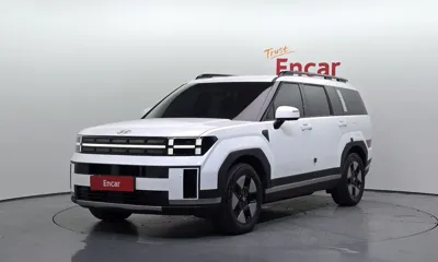 Hyundai Santafe · 2024 год
