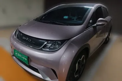 BYD Dolphin · 2021 год