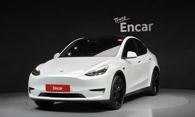 Tesla Model Y · 2023 год