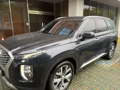 Hyundai Palisade · 2020 год