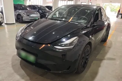 Tesla Model Y · 2022 год