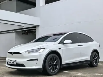 Tesla Model X · 2024 год