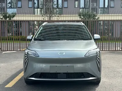 AION AION Y 2023, 31000 км, за 57800 CNY