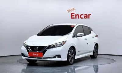Nissan Leaf · 2019 год