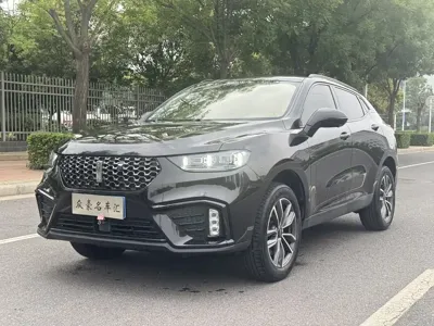 WEY Wey VV5 · 2020 год