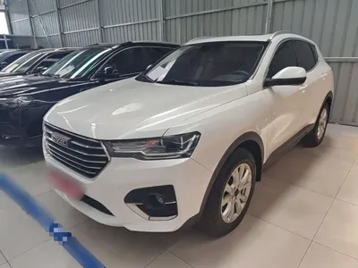 Haval H4 2019, 81900 км, за 39900 CNY - фото 1