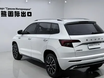 Skoda Karoq 2023, 33000 км, за 122800 CNY - фото 6