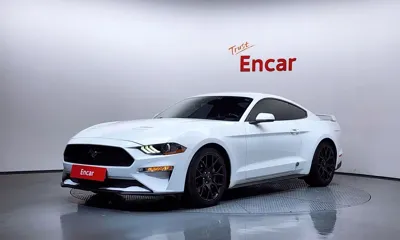 Ford Mustang · 2019 год