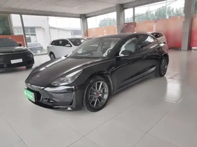 Tesla Model 3 · 2022 год